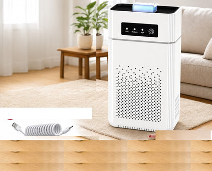 Home HEPA Air Purifier Large Room Air Cleaner for Allergies Smoke Mold Odor Dust