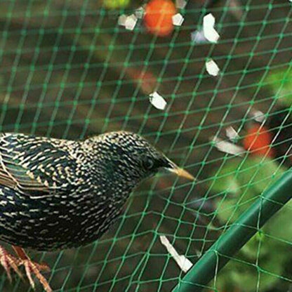 33FT Anti Bird Netting Pond Net Protection Tree Crops Plants Fruits Garden Mesh